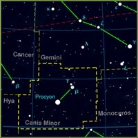 canis_minor.jpg